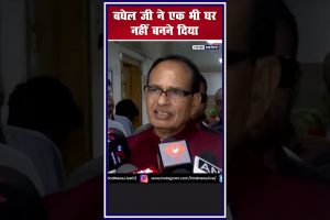 shivrajsinghchouhan-allegation-bhupeshbaghel