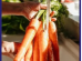 Americanews-Carrot