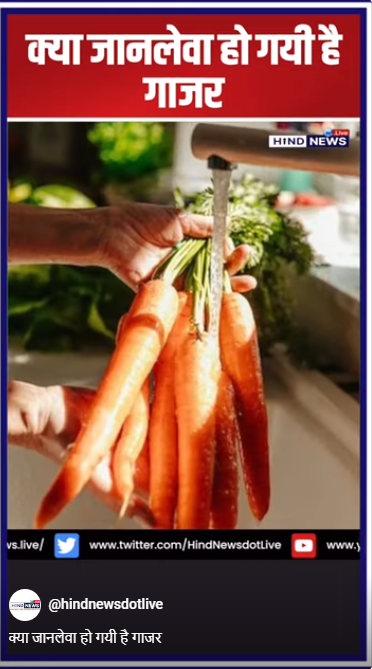 Americanews-Carrot