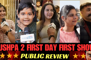 Pushpa2-PublicReview