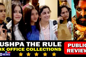 PUSHPA2-BOXOFFICECOLLECTION